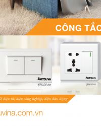 CATALOGUE MITSUVINA